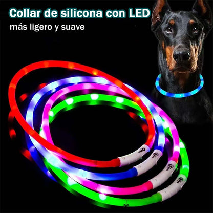 Correa LED para Perros, Collar Luminoso con Fibra Óptica y Carga USB