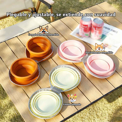 Bol plegable de silicona para mascotas, diseño de doble tazón, utensilios de alimentación ecológicos para perros y gatos en exteriores.