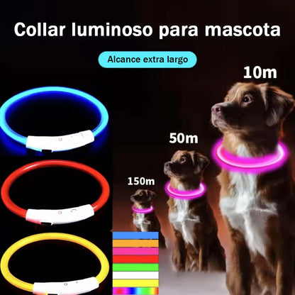 Correa LED para Perros, Collar Luminoso con Fibra Óptica y Carga USB